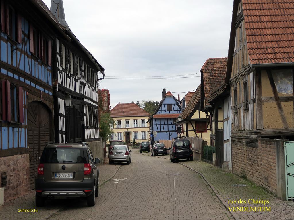 La Cour Des Amis Bed & Breakfast Vendenheim Exterior photo